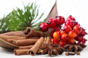 winter berries and cinnamon sticks winter berries and cinnamon sticks