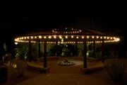 garden at night with festive lights garden at night with festive lights