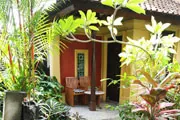 tropical garden and patio thumbnail tropical garden and patio thumbnail