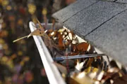 gutter full of leaves thumbnail gutter full of leaves thumbnail