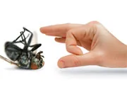 finger flicking dead insect finger flicking dead insect