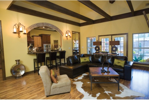 Contemporary Home Ceiling