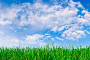 Article Topic: Clean Air Quality for Your Home