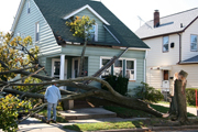 Article: Protecting Your Home from Storm Damage