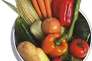 Garden Vegetables Garden Vegetables