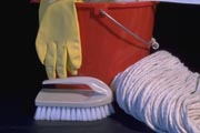 Article: Cleaning Facts
