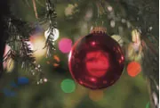 Christmas Tree Ornaments Christmas Tree Ornaments