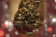 A Christmas tree bright with white lights A Christmas tree bright with white lights