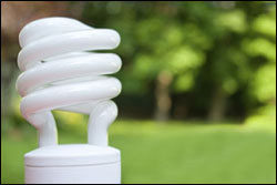 energy efficient light bulb