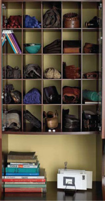 Closet Organizers