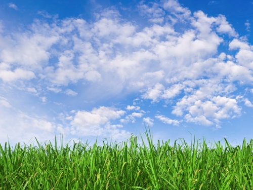 clean air quality outdoors