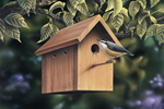 All wood rustic bordhouse hung in tree