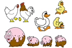 Front View: 593-002D-9804 - Ducks, Chickens and Pigs