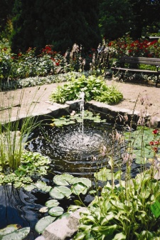 Pond with Fountain